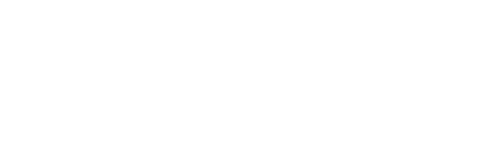 ایران وی ام